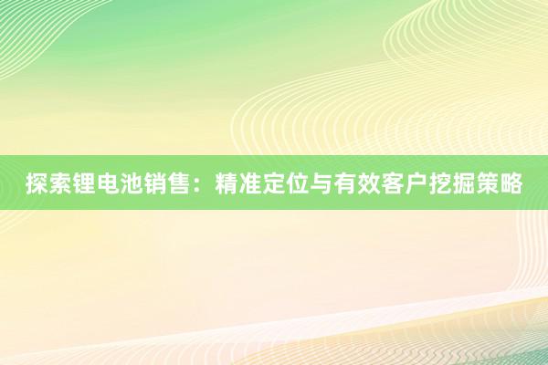 探索锂电池销售：精准定位与有效客户挖掘策略